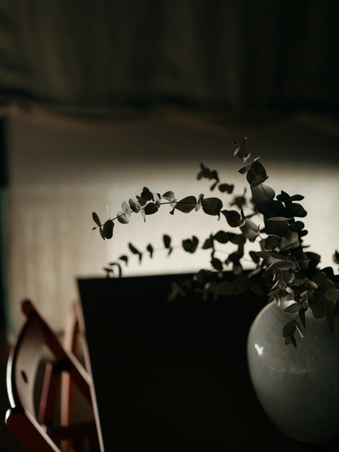 blanco-roto-estudio-04